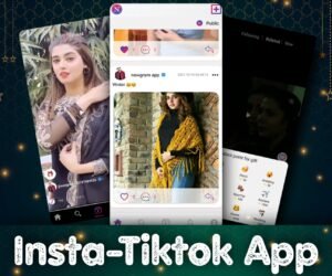 Insta Tiktok App